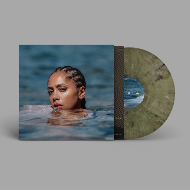 Vinyl Mockup